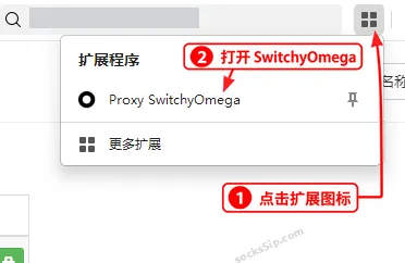 打开 360 浏览器扩展菜单,找到 Proxy SwitchyOmega