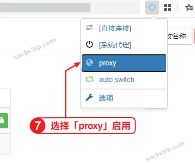 在插件菜单选择 proxy,启用已保存的代理线路