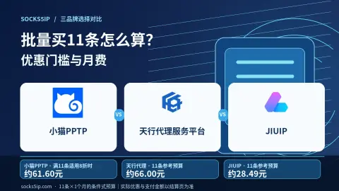 小猫PPTP、天行代理与JIUIP采购11条的预算比较封面