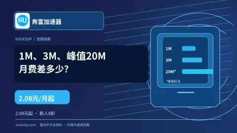 奔富加速器1M、3M与峰值20M带宽及月费对比封面
