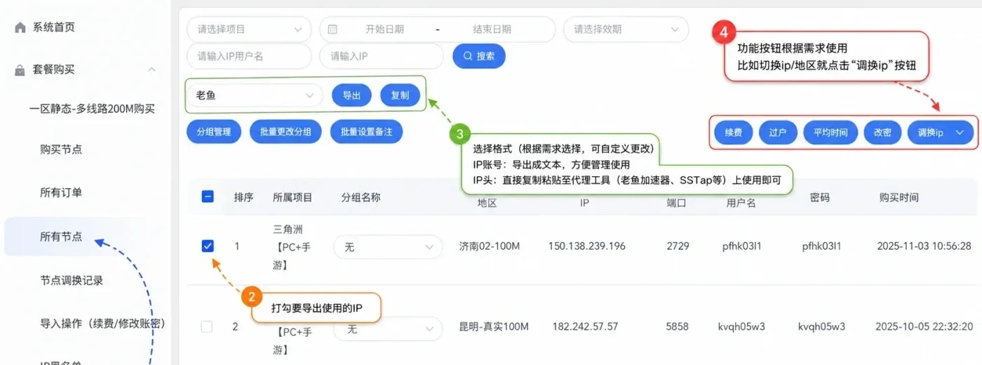 沧海IP节点复制与导出页面