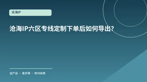 沧海IP六区专线定制下单后如何导出？订单与节点列表分开核对封面
