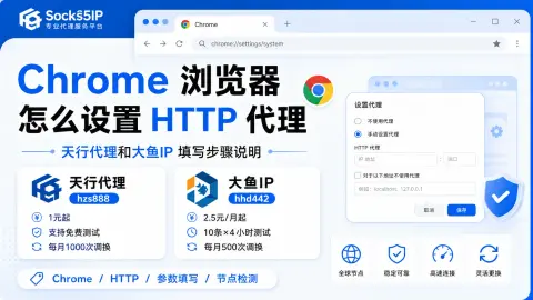 Chrome 浏览器怎么设置 HTTP 代理？天行代理和大鱼IP 填写步骤说明封面图