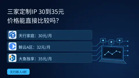 定制IP月费30到35元，天行、鲸云、大鱼能直接比吗？封面