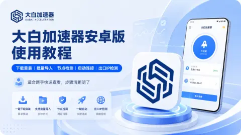 大白加速器使用教程：Android下载安装、SK5批量导入、连接检测与IP核对封面图