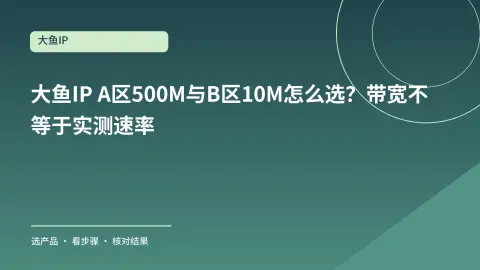 大鱼IP A区500M与B区10M怎么选？带宽不等于实测速率封面