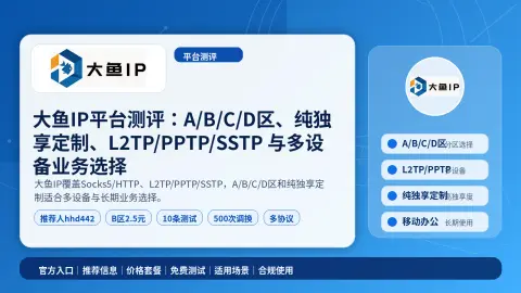 大鱼IP平台测评：A/B/C/D区、纯独享定制、L2TP/PPTP/SSTP 与多设备业务选择封面图