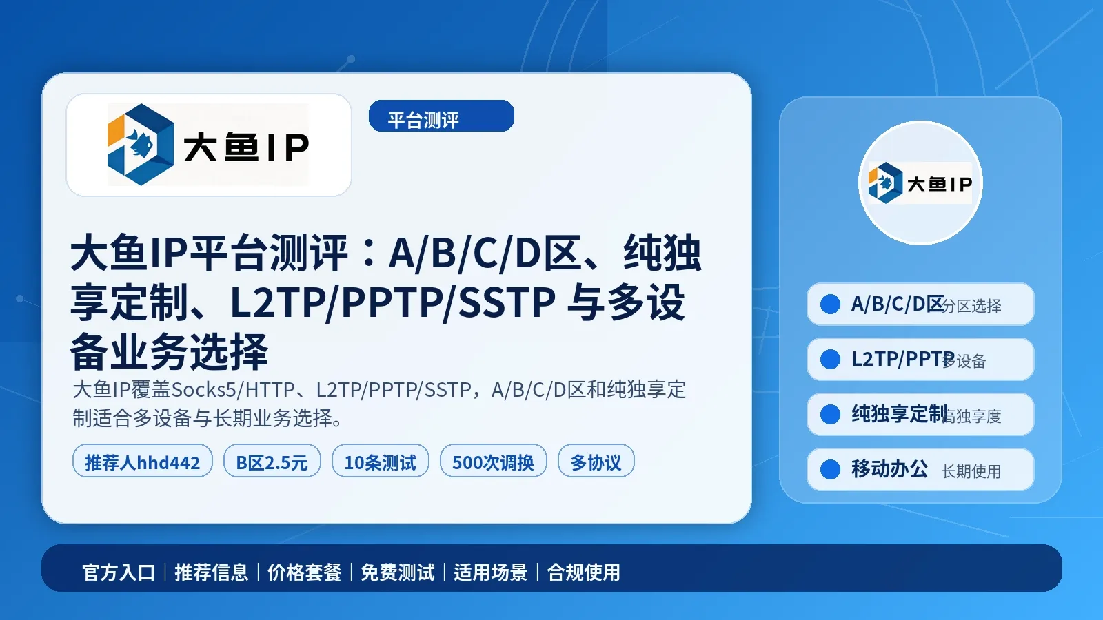 大鱼IP平台测评：A/B/C/D区、纯独享定制、L2TP/PPTP/SSTP 与多设备业务选择封面图