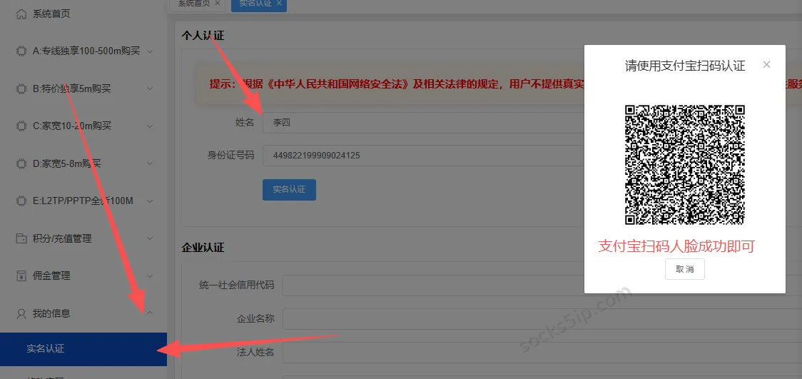 大鱼IP实名认证页面