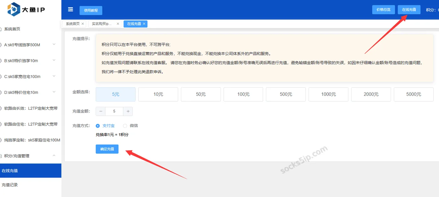 大鱼IP在线充值页面