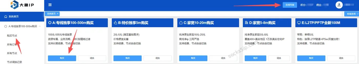 大鱼IP产品卡片与购买节点入口