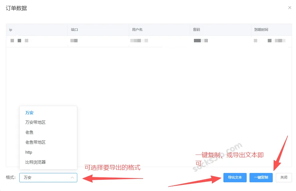 大鱼IP节点信息复制与文本导出