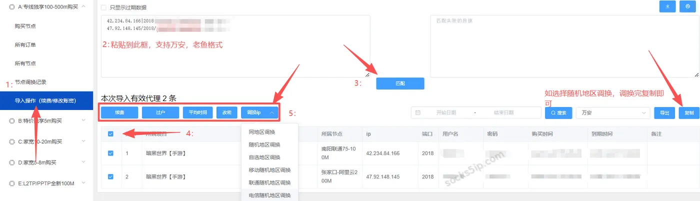大鱼IP续费改密和节点调换页面