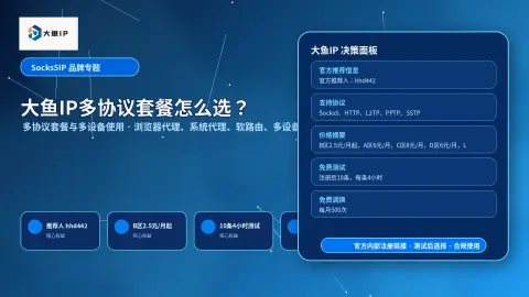 大鱼IP多协议套餐怎么选？Socks5、HTTP、L2TP、PPTP、SSTP配置建议封面图