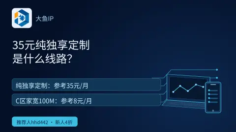 大鱼35元纯独享定制是什么线路？封面