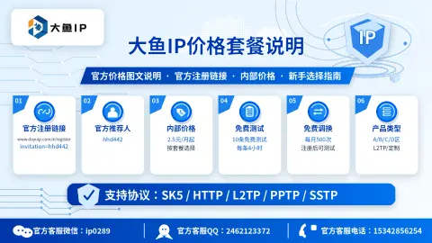 大鱼IP价格套餐说明封面图