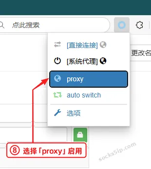 第8步：在ZeroOmega菜单中选择proxy，启用已保存的代理配置