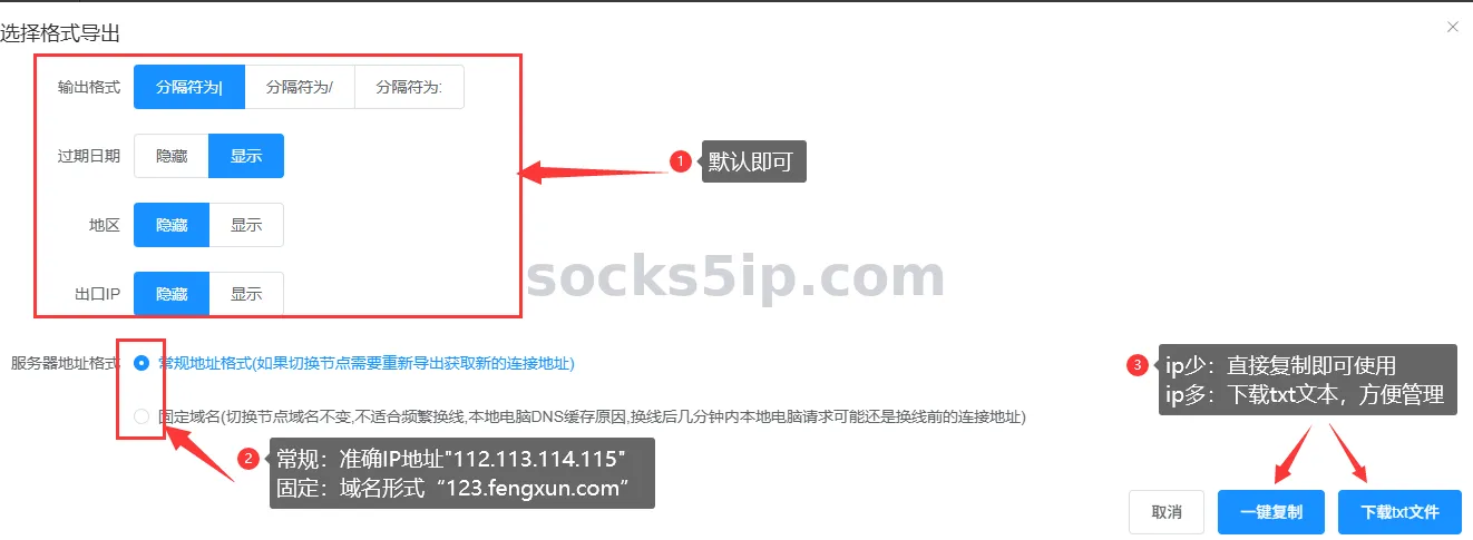 烽讯加速器连接信息导出页面