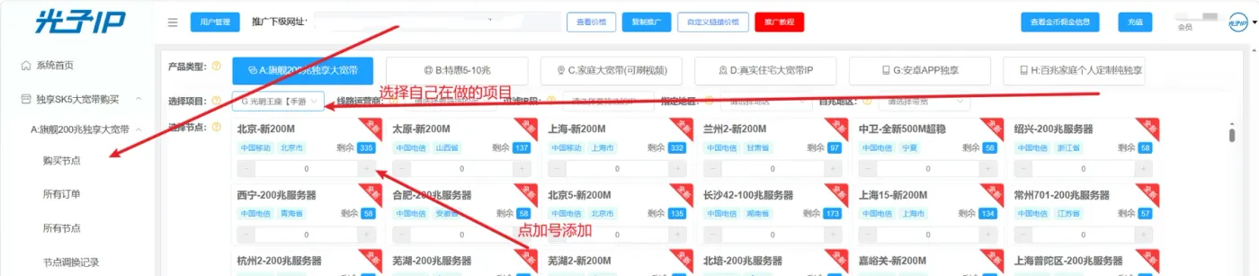光子IP产品类型和项目选择页面