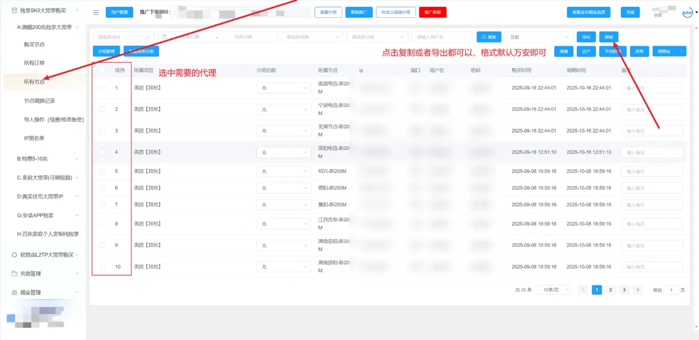 光子IP所有节点复制和导出页面