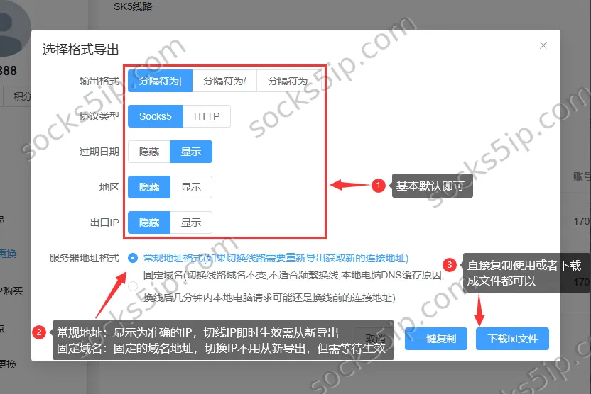 蛟龙IP导出格式选择