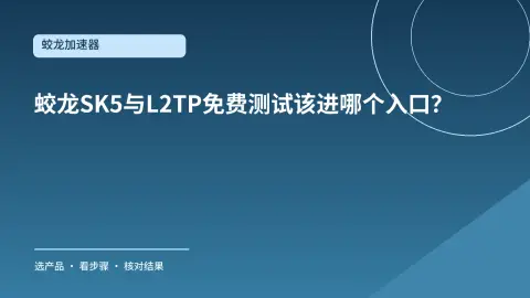 蛟龙SK5与L2TP免费测试该进哪个入口？按协议领对线路封面