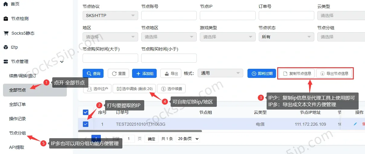 极驰云代理IP全部节点复制导出与管理