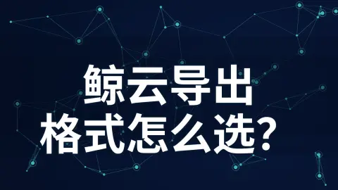 鲸云网络导出节点时，“全IP”和SOCKS5/HTTP格式怎么选？封面