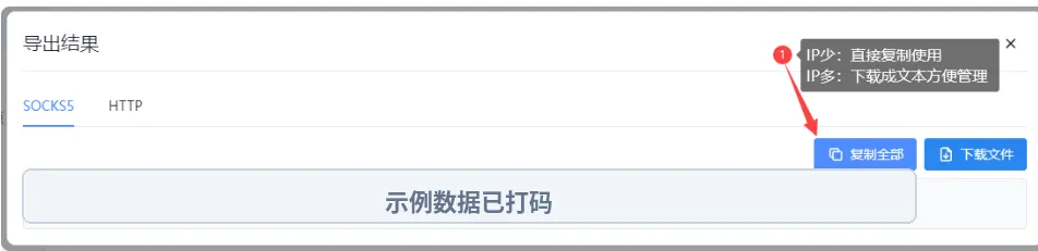 鲸云导出结果页中的SOCKS5与HTTP标签及复制入口