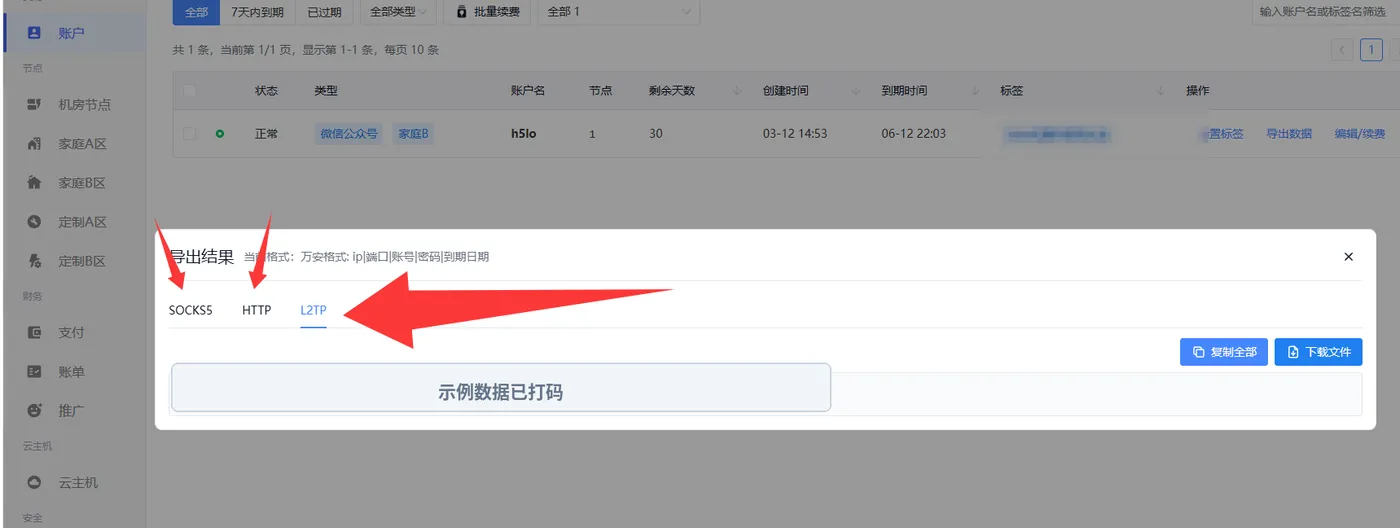鲸云导出结果中的SOCKS5、HTTP与L2TP标签