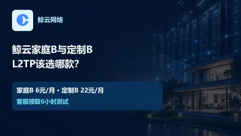 鲸云L2TP选家庭B还是定制B6元与22元差在哪里：产品价格与免费测试说明