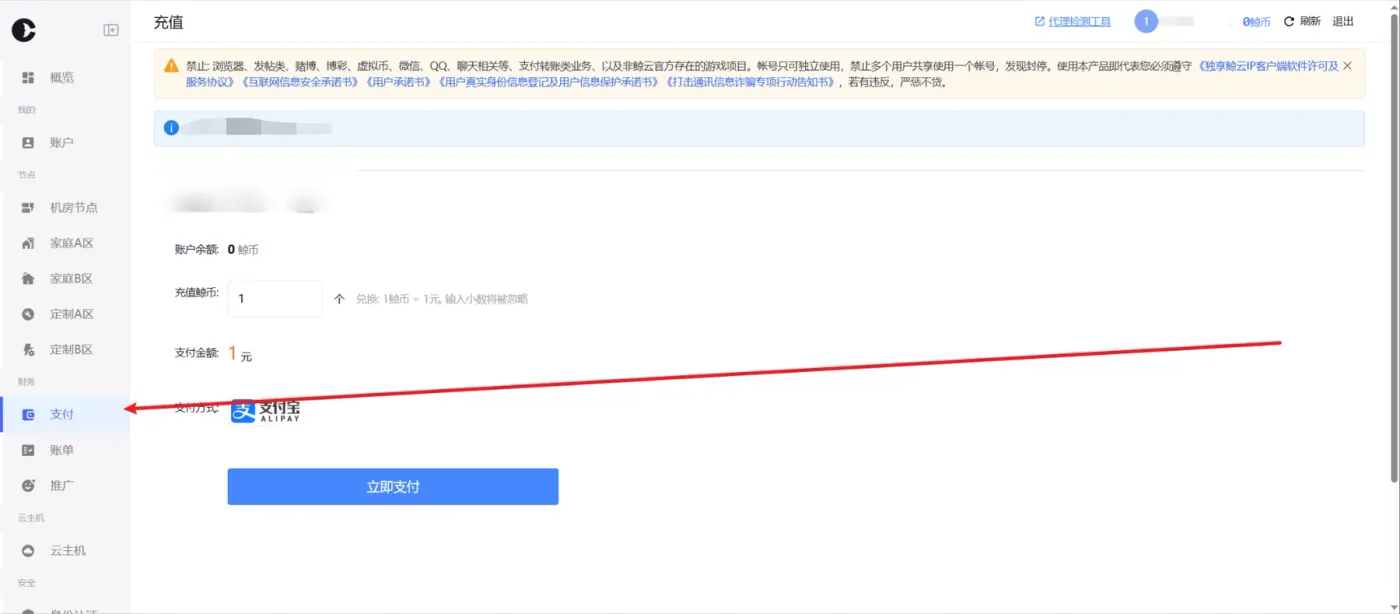 鲸云网络支付与鲸币充值页面