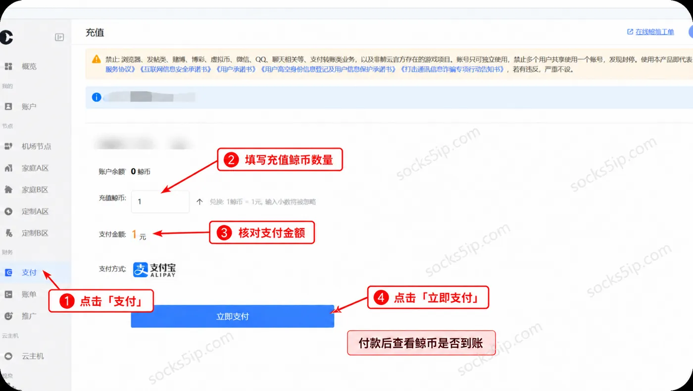 鲸云网络充值:进入支付页面,填写鲸币数量并核对金额后付款
