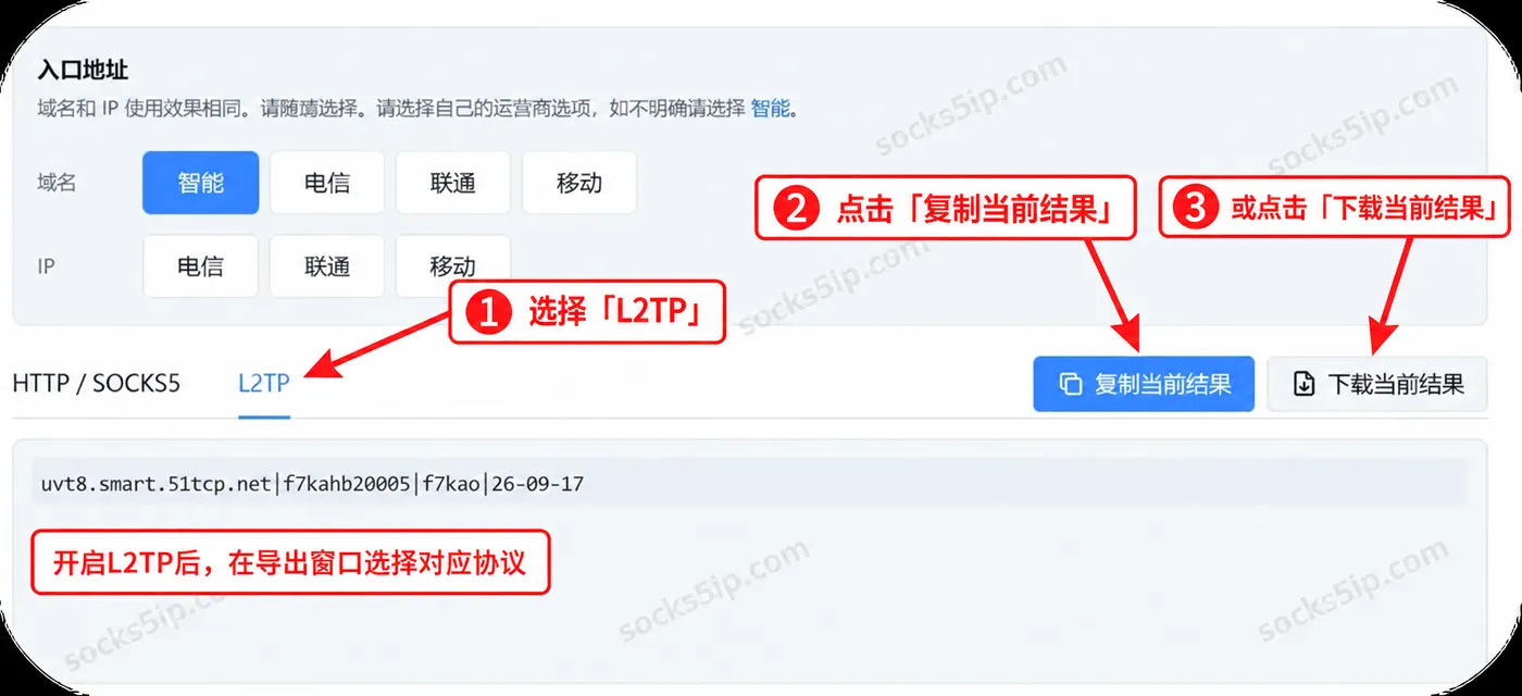 鲸云网络L2TP导出:选择L2TP,复制当前结果或下载当前结果