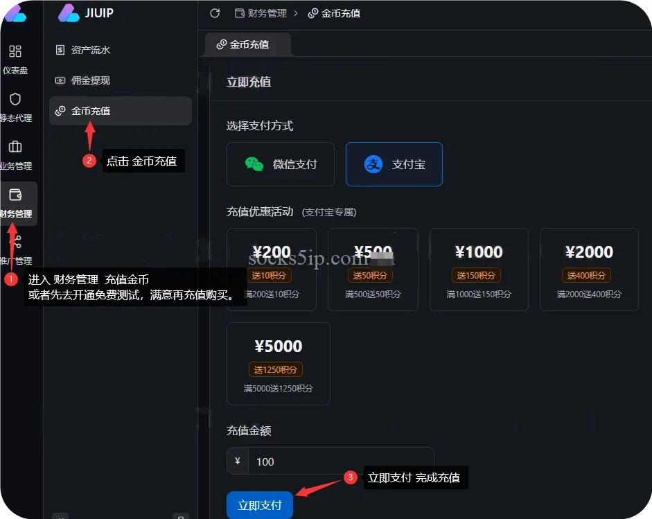 JIUIP金币充值页面
