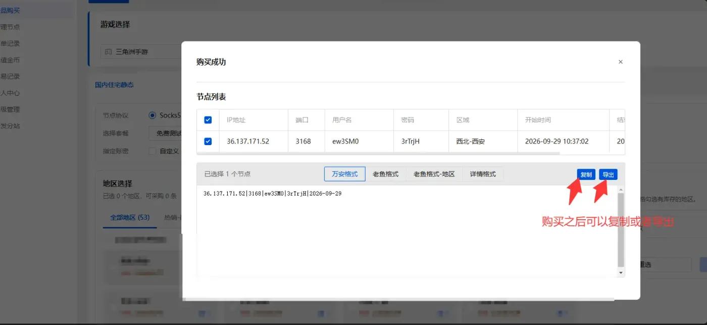 极星IP购买成功与连接信息复制