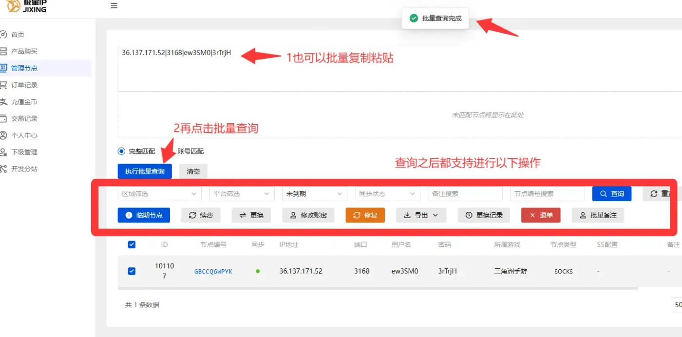 极星IP节点批量查询与管理