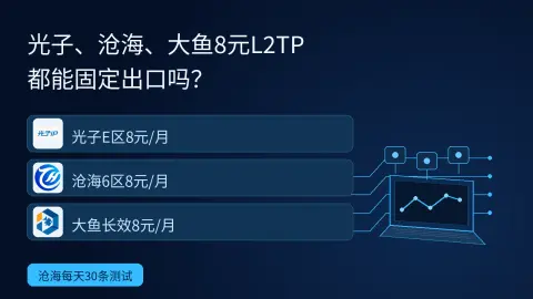 8元L2TP都能固定出口吗？光子、沧海、大鱼对照封面
