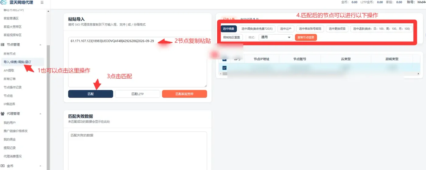 蓝天网络代理节点导入与后续管理