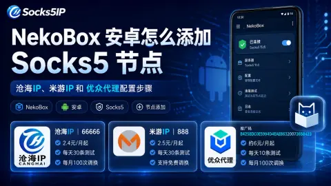 NekoBox 安卓怎么添加 Socks5 节点？沧海IP、米游IP 和优众代理配置步骤封面图