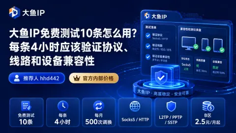 大鱼IP免费测试10条怎么用？每条4小时应该验证协议、线路和设备兼容性封面图