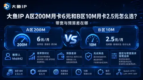 大鱼IP A区200M月卡6元和B区10M月卡2.5元怎么选？带宽与预算差在哪封面图