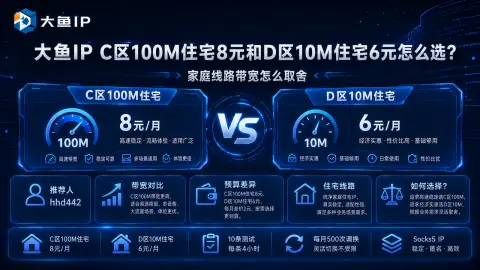 大鱼IP C区100M住宅8元和D区10M住宅6元怎么选？家庭线路带宽怎么取舍封面图