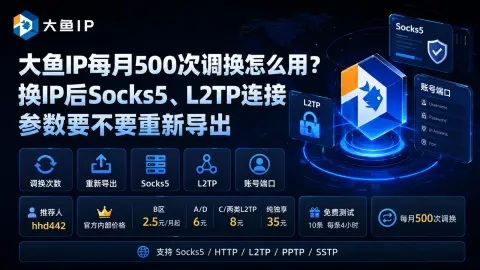 大鱼IP每月500次调换怎么用？换IP后Socks5、L2TP连接参数要不要重新导出封面图