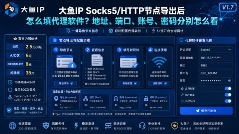 大鱼IP Socks5/HTTP节点导出后怎么填代理软件？地址、端口、账号、密码分别怎么看封面图