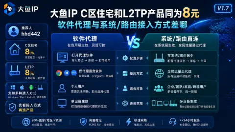 大鱼IP C区住宅和L2TP产品同为8元，软件代理与系统/路由接入方式差在哪封面图