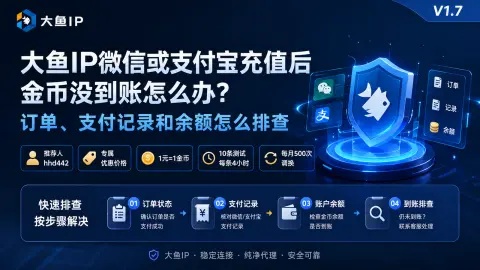 大鱼IP微信或支付宝充值后金币没到账怎么办？订单、支付记录和余额怎么排查封面图