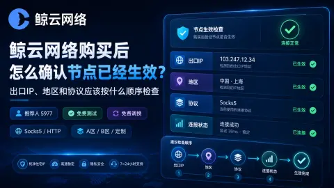 鲸云网络购买后怎么确认节点已经生效？出口IP、地区和协议应该按什么顺序检查封面图