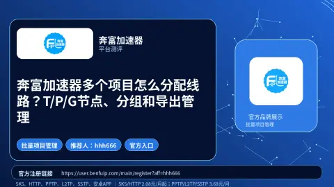 奔富加速器多个项目怎么分配线路？T/P/G节点、分组和导出管理封面图