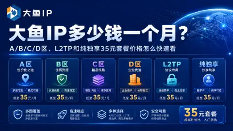 大鱼IP多少钱一个月？A/B/C/D区、L2TP和纯独享35元套餐价格怎么快速看封面图